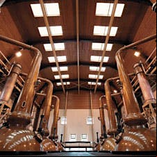 Glenmorangie uses these giant stills, the tallest in Scotland, with a view toward capturing only the light spirits that can climb out of their swan necks.
